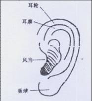  ٣䣩