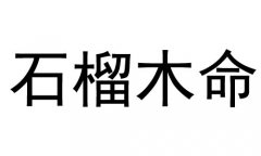 ʯľʲô˼ʯľò