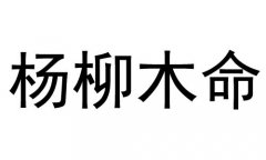 ľʲô˼ľò