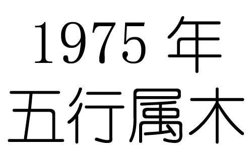 1975Ќʲô1975ʲô