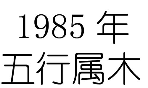1985Ќʲô1985ʲô