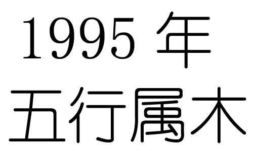 1995Ќʲô1995ʲô