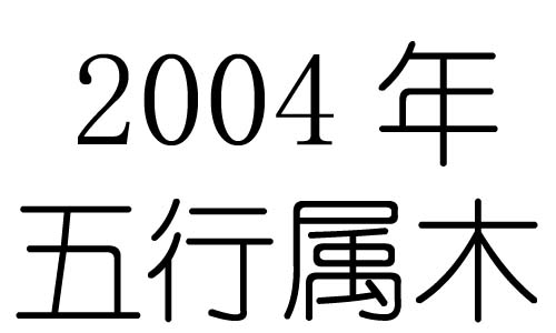 2004Ќʲô2004ʲô