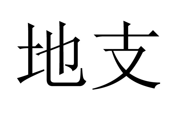 ֧ʲô˼