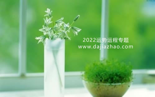 2022ٻԒĹ걾ȥĹؕ