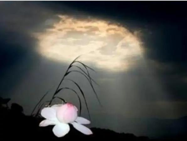 (mng)Ҋ݆