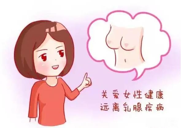 Ҋ鷿 
