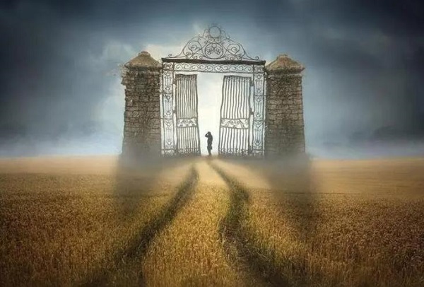 (mng)Ҋ(jin)x (mng)(mng)Ҋ(jin)xʲôA(y) (mng)Ҋ(jin)xò