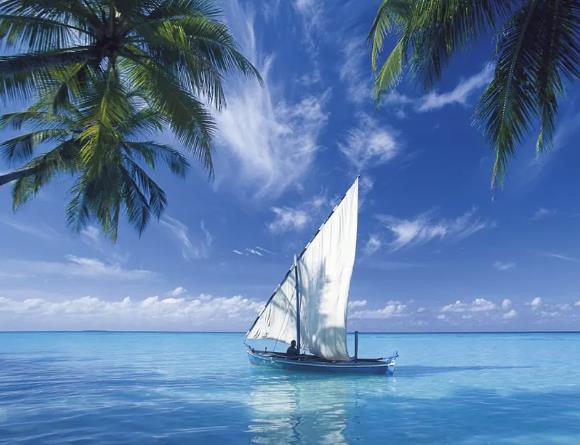 (mng)Ҋ(jin) (mng)(mng)Ҋ(jin)ʲôA(y) (mng)Ҋ(jin)ò