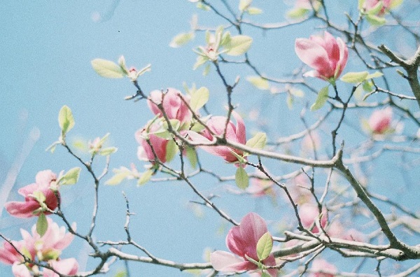 (mng)Ҋ(jin) (mng)(mng)Ҋ(jin)ʲôA(y) (mng)Ҋ(jin)ò