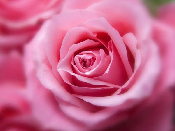 (mng)Ҋ(jin)ۼtɫ (mng)(mng)Ҋ(jin)ۼtɫʲôA(y) (mng)Ҋ(jin)ۼtɫò