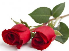 <b>ȟLˮע</b>