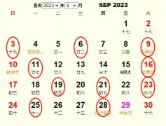 20239½Y(ji)S m20239½Y(ji)ĺ