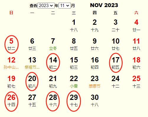 202311½YS m202311½Yĺ