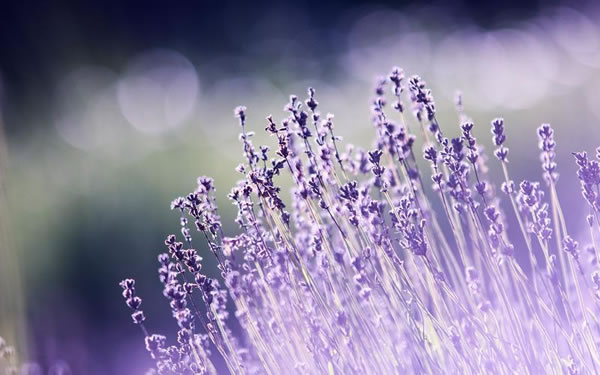 Ы2023\Ԕ_2023Ыȫ\