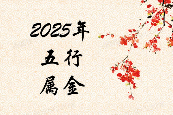 2025Ќʲô