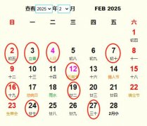 20252½Y(ji)S m20252½Y(ji)ĺ