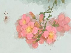 СʲôrСǎ