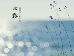 ¶ʲô