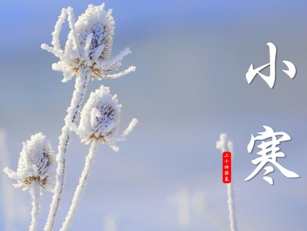 Сʲôr(sh)Сǎ