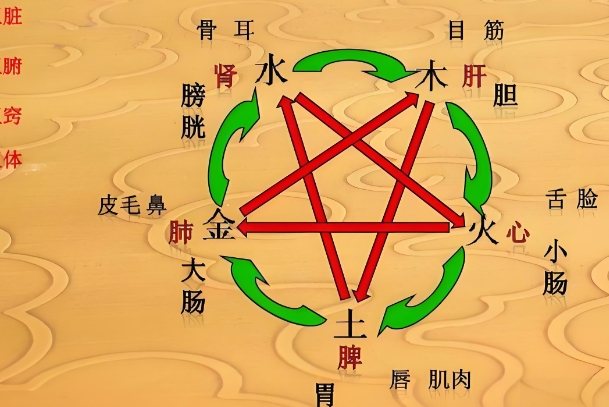 Փϵy(tng)԰l(f)չB(yng)βԭt