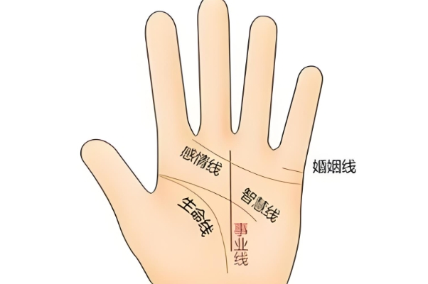 Y(ji)