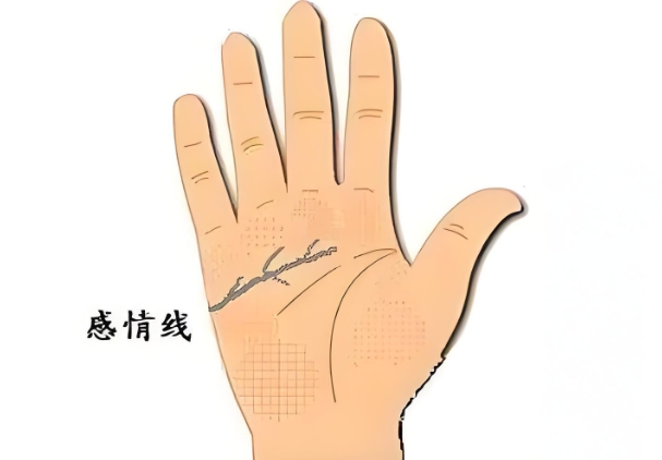 龀ֲ浽ǻ۾(hu)