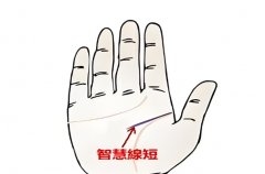 ǻ۾^̻^Ǟ(zi)