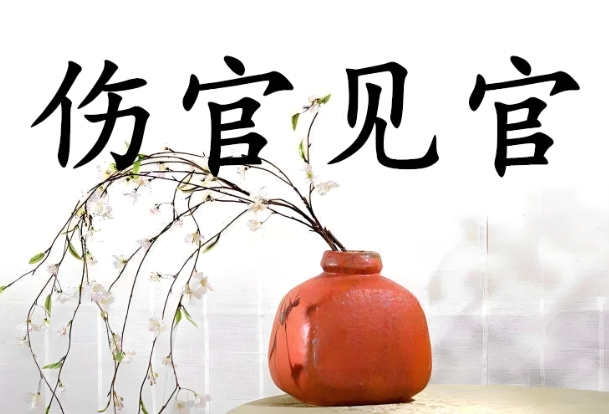 Ҋ鵜ٶ