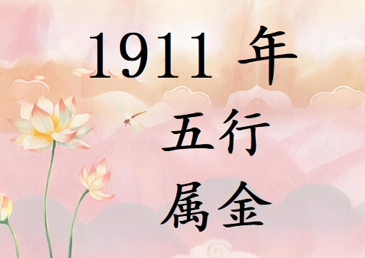 1911Ќʲô1911ʲô