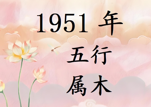 1951Ќʲô1951ʲô