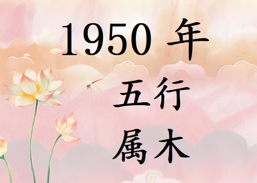 1950Ќʲô1950ʲô
