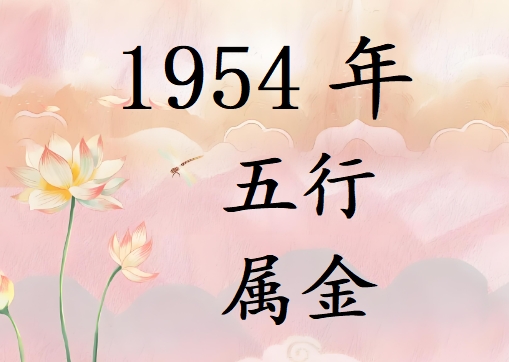 1954Ќʲô1954ʲô