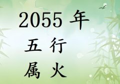 2055Ќʲô2055ʲô