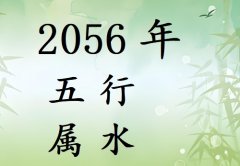 2056Ќʲô2056ʲô